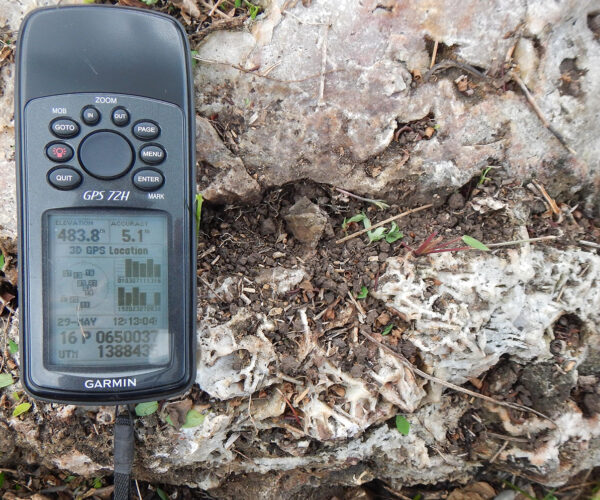 Outcropping quartz vein displaying bladed textures at the Balsamo Prospect