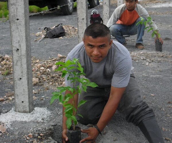 Tree planting to stabalize the slopes around the new water reservoir supplying the Departmental Capital town of Boaco - a contribution by Condor