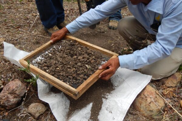 Soil sampling_La Mojarra_2014-07-18 (2)